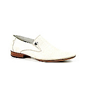  papillon,    